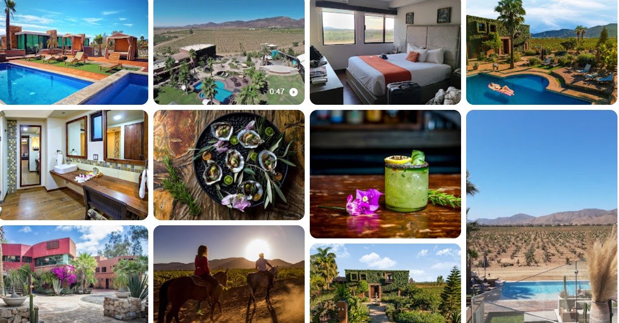 WhatsApp Image 2026-02-24 at 3.40.00 PM