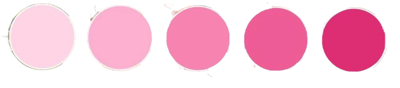 paleta g