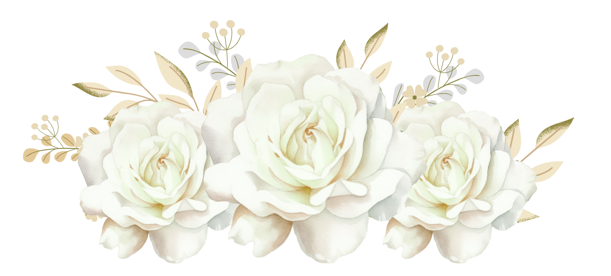 rosas blancas v0029