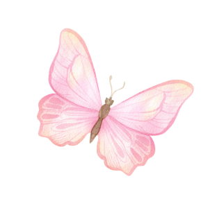 marriposa-rosa.png