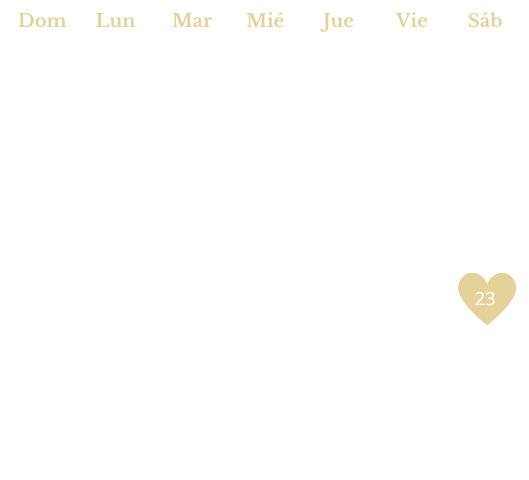 15 B0014 ROSA,LILA, AZUL - 2026-04-11T094947.801