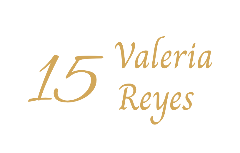 Copia de 15 anos (9)