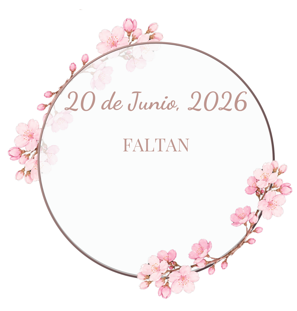 Invitación 15 rapunzel - 2026-05-13T163807.007