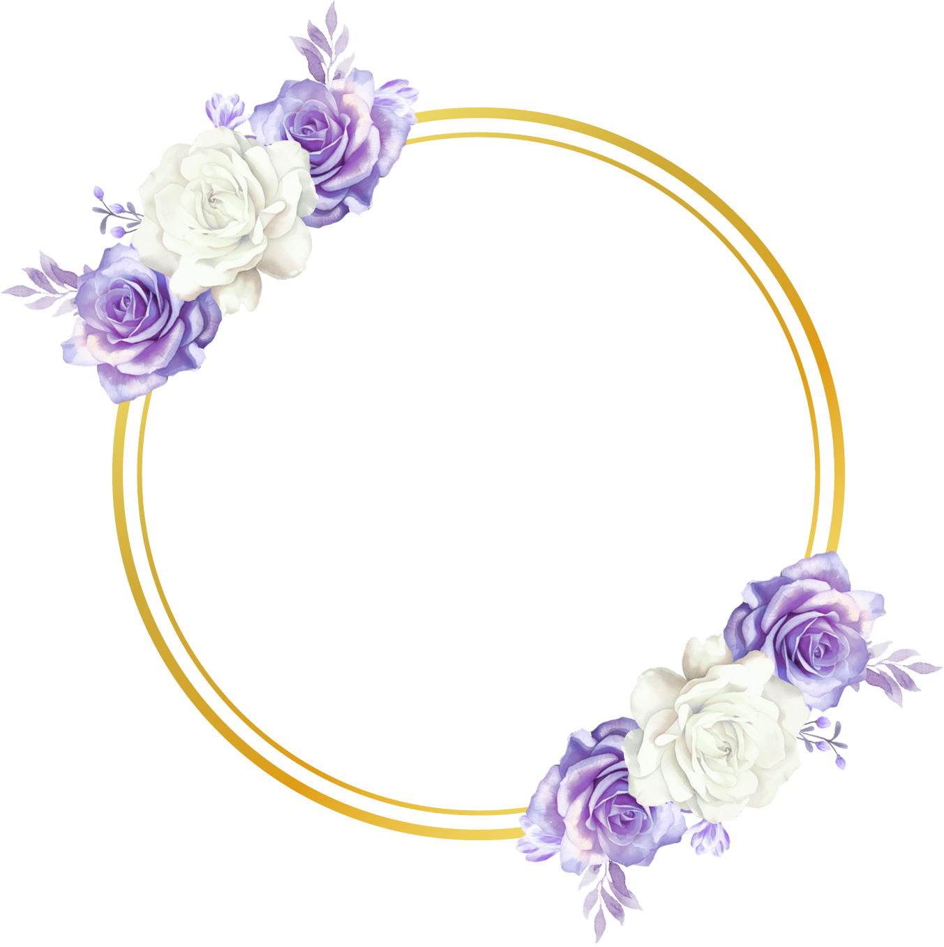 aro lila 16 sept
