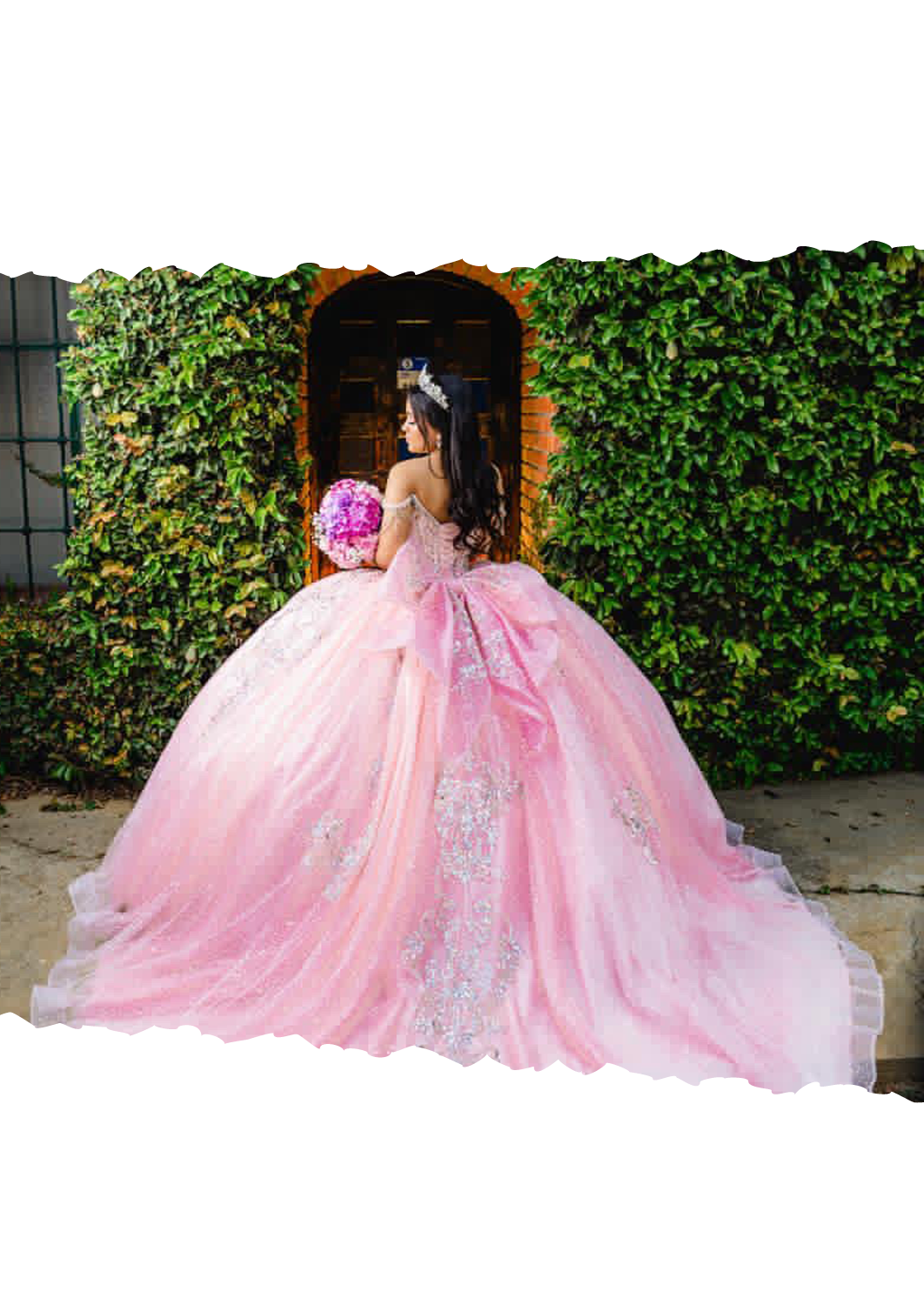 foto sofi d