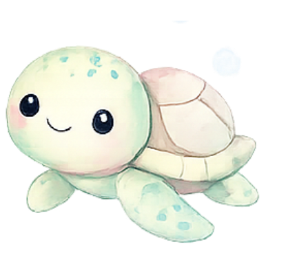 tortuga s