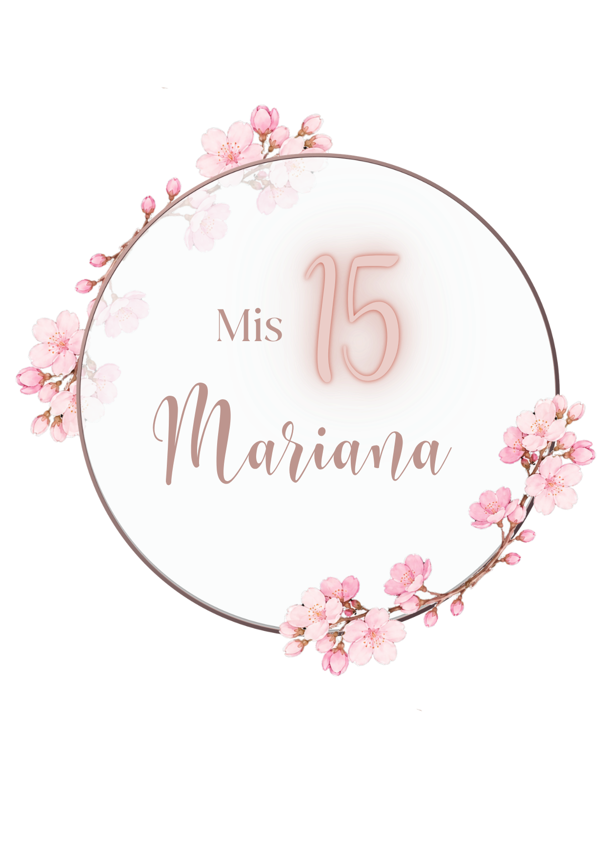 Invitación 15 rapunzel - 2026-07-14T123059.303