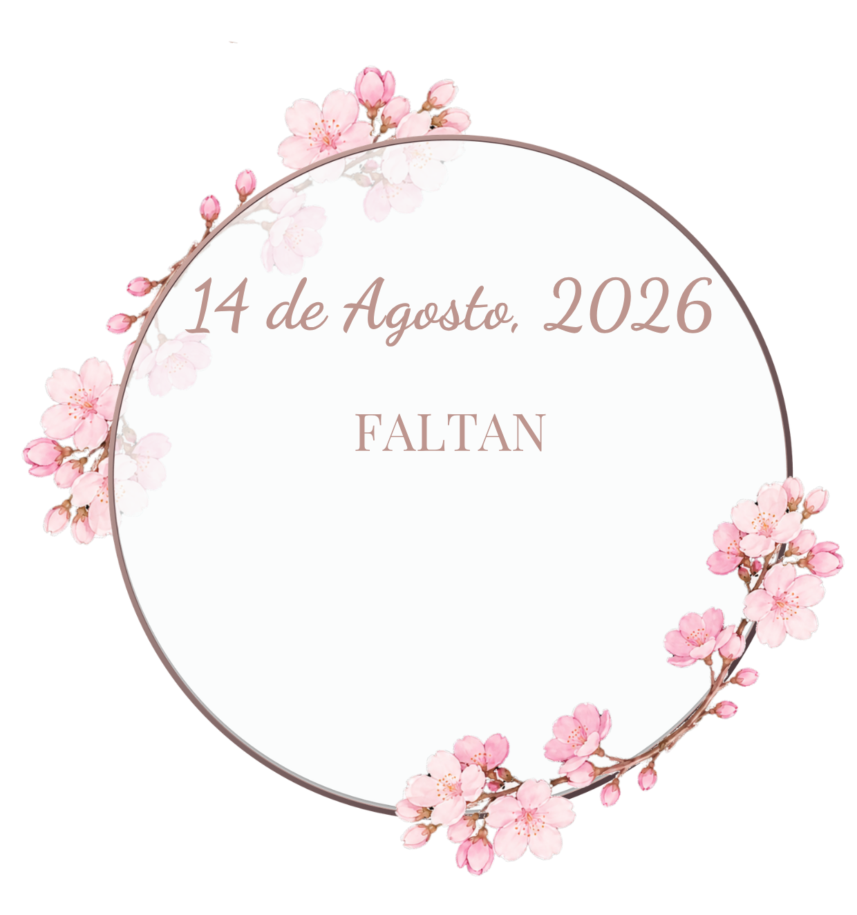 Invitación 15 rapunzel - 2026-07-17T153307.933